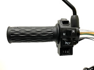 Электровелосипед GreenCamel Транк 20 V8 (R20 250W 60V 13Ah)