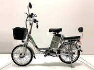 Электровелосипед GreenCamel Транк 20 V8 (R20 250W 60V 13Ah)