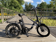 Электровелосипед Elbike Galant Elite (Черный)