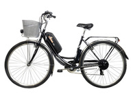 Электровелосипед Horza Stels Dacha v2m1 960W