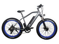 Электрофэтбайк El-sport bike TDE-08 500W Электрофэтбайк El-sport bike TDE-08 500W